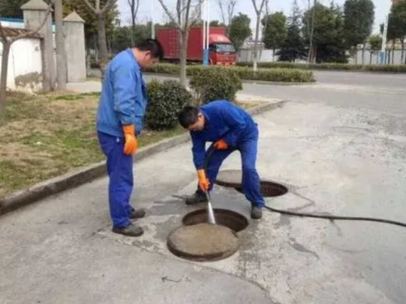 武汉疏通清专业托运淤泥种菌，无毒无害专业可靠