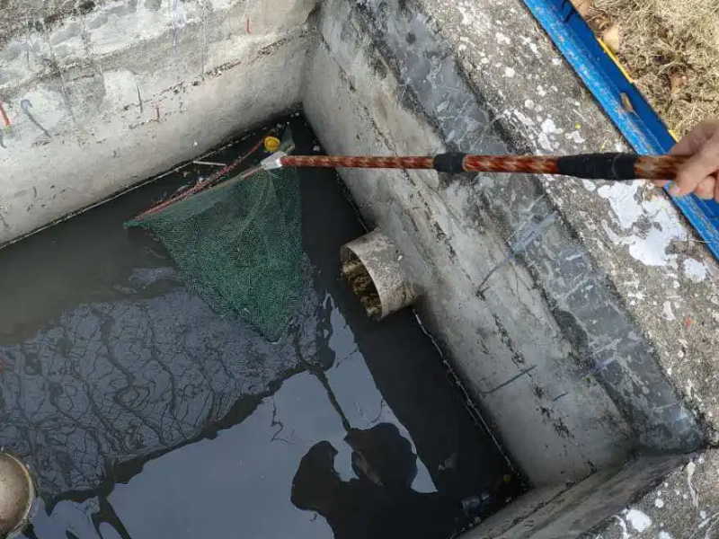 武汉三镇清理化粪池抽粪 高压清洗污水管道